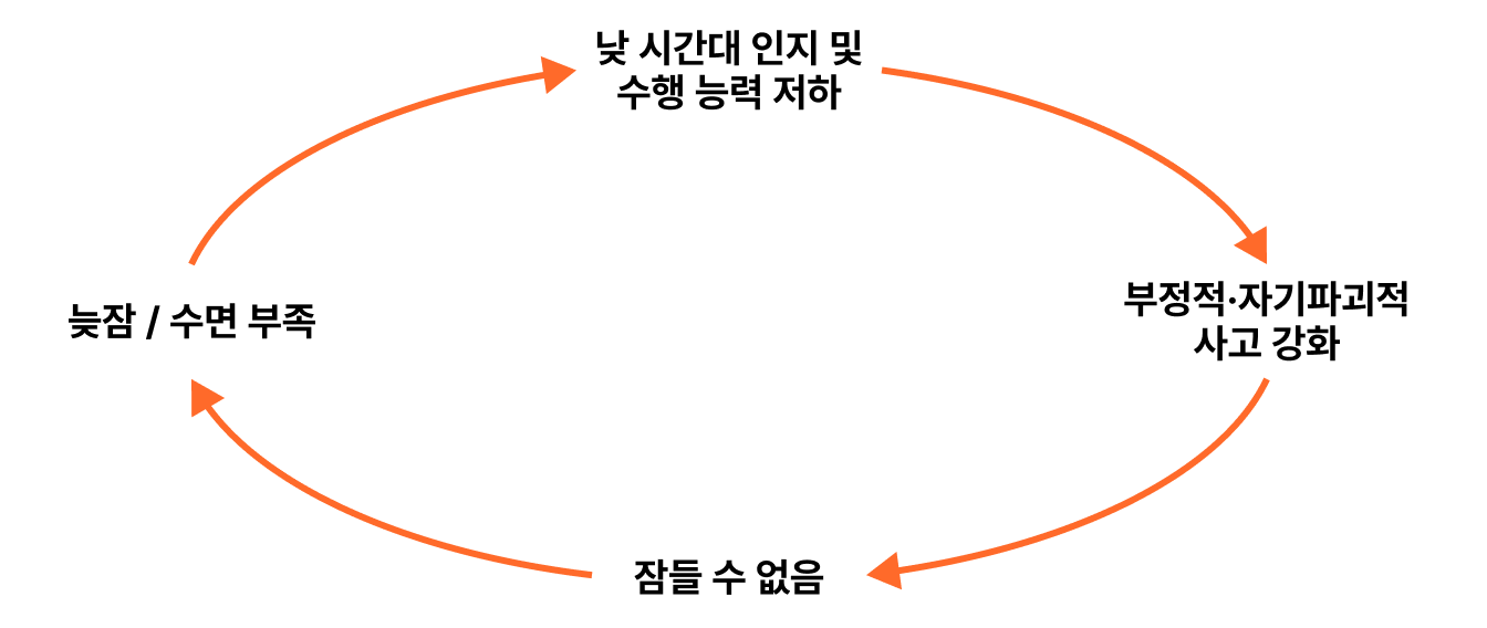 수면 문제와 부정적 감정 사이의 악순환.